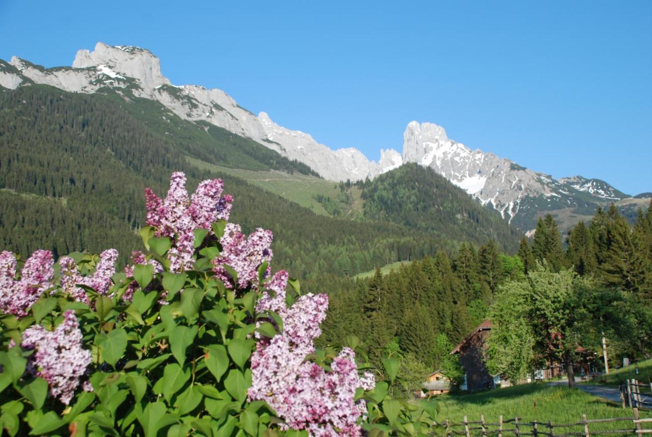 アンベルク・イム・ランマータールAlpenhaus Donnerkogelアパートメント エクステリア 写真