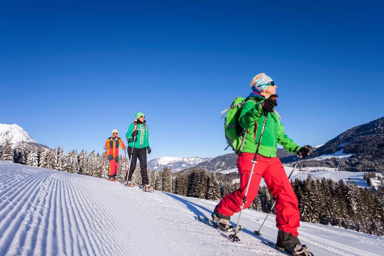 アンベルク・イム・ランマータールAlpenhaus Donnerkogelアパートメント エクステリア 写真