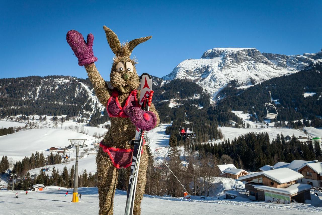 アンベルク・イム・ランマータールAlpenhaus Donnerkogelアパートメント エクステリア 写真