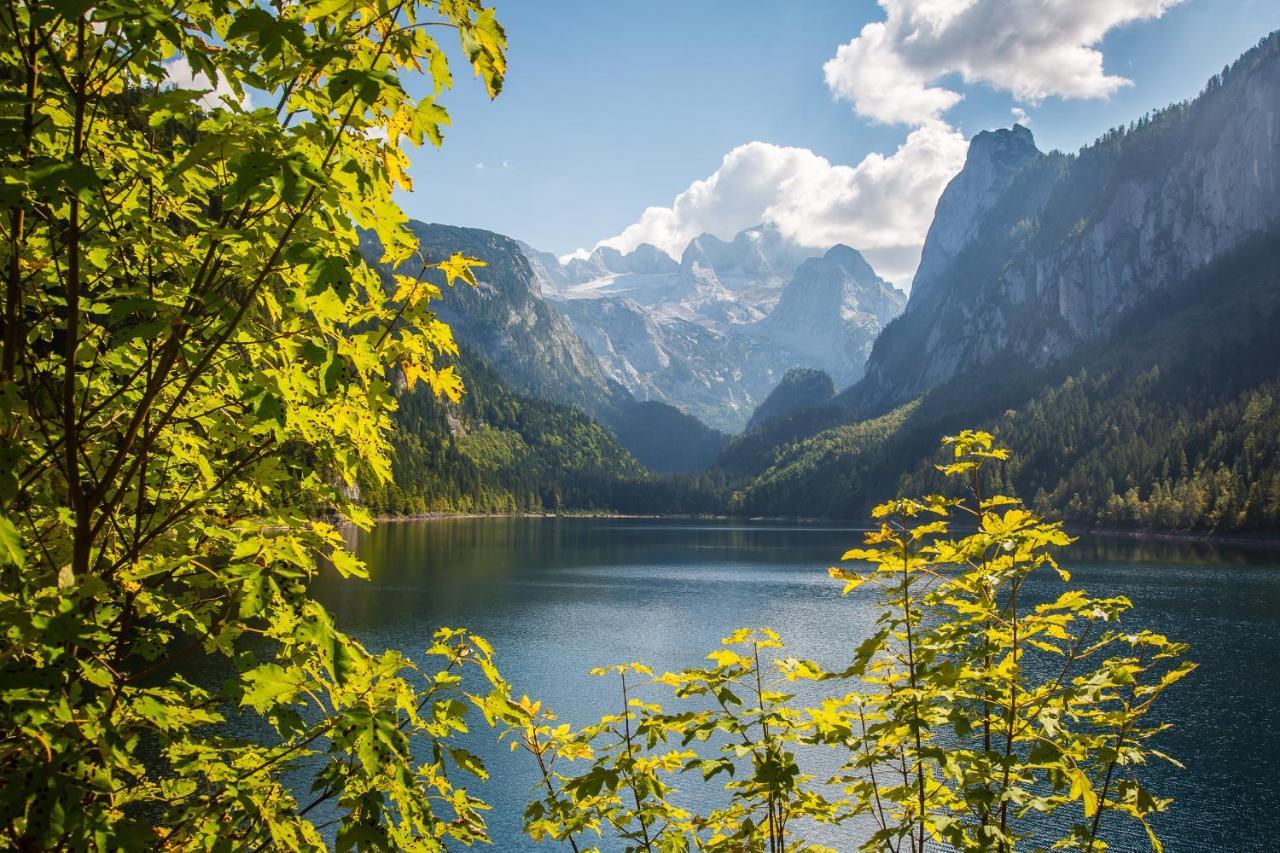 アンベルク・イム・ランマータールAlpenhaus Donnerkogelアパートメント エクステリア 写真