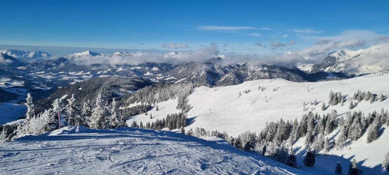 アンベルク・イム・ランマータールAlpenhaus Donnerkogelアパートメント エクステリア 写真