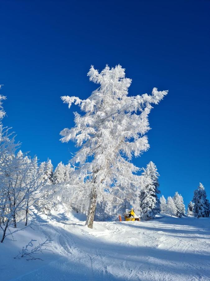アンベルク・イム・ランマータールAlpenhaus Donnerkogelアパートメント エクステリア 写真